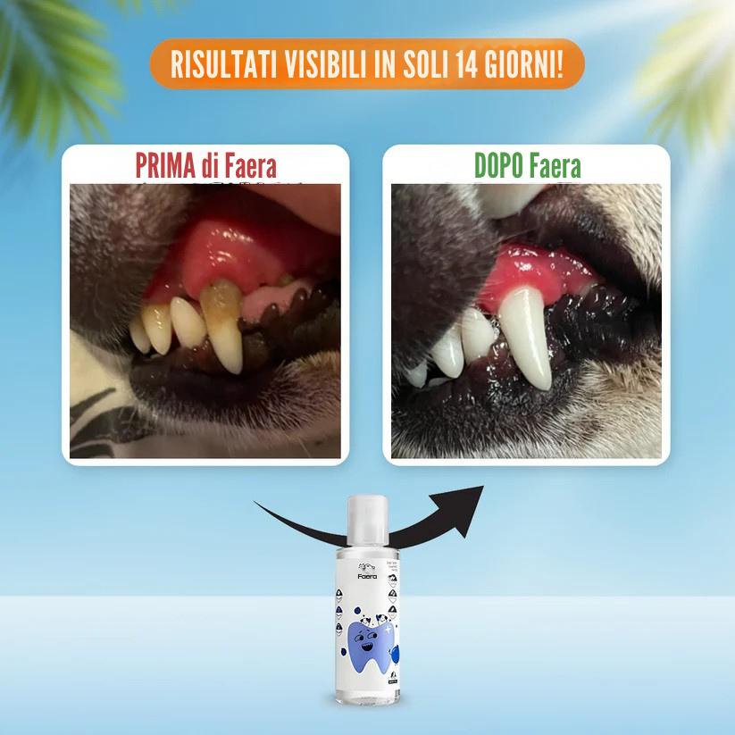 Faera Health – Offerta Cani